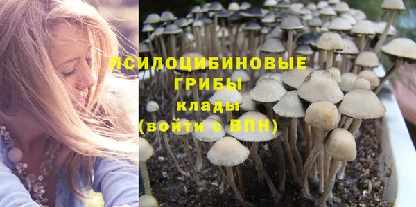 a pvp Алексин