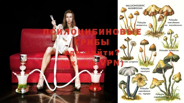винт Алзамай