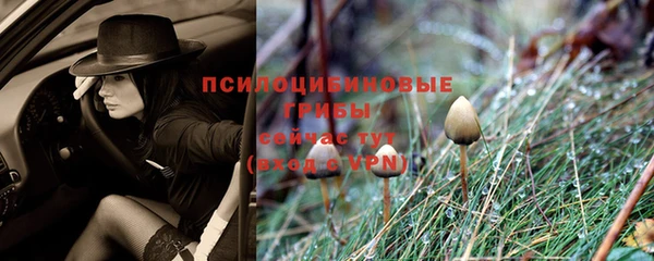 a pvp Алексин